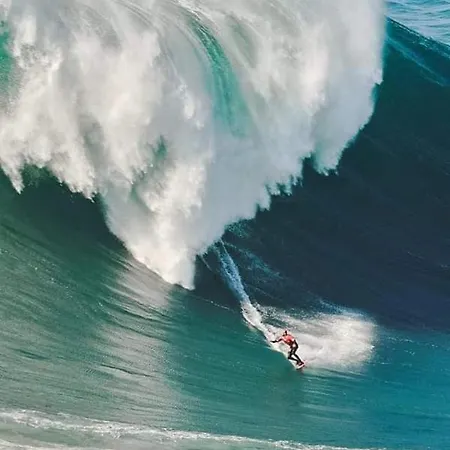 Semesterbostad Cantinho Figueiras