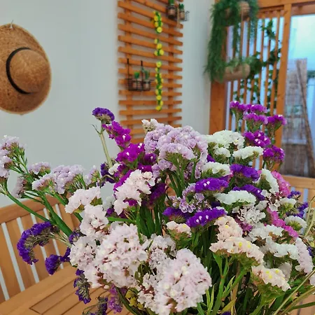 Cantinho Figueiras Nazaré