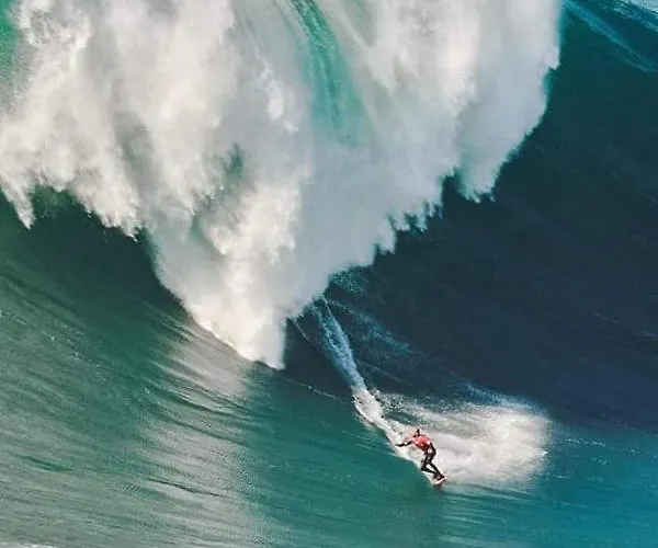 Дом отдыха Cantinho Figueiras